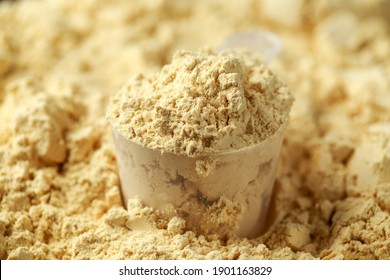 Scoop Of Pea Vegan Protein Powder. Sport Nutrition.