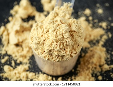 Scoop Of Pea Vegan Protein Powder On Dark Rustic Background. Sport Nutrition