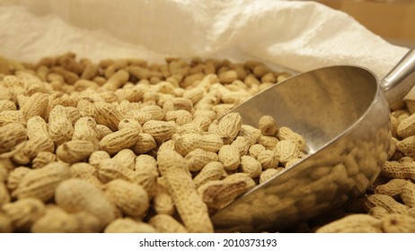 A Scoop of Peanuts in The Sack 