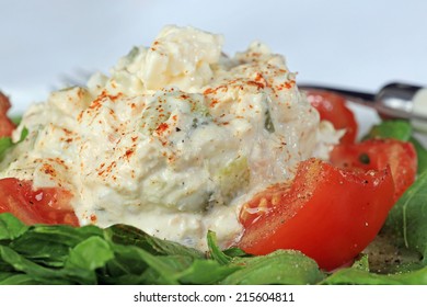 Scoop Of Tuna Salad On Sliced Tomato And Sprinkled With Paprika.  Closeup With Neutral Background And Copy Space.