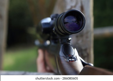 A Scope Of A Hunting Rifle Gun