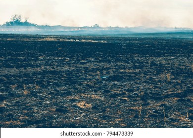 Scorched Earth After Fire