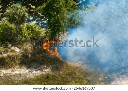 Scorching flames devour Florida forest vegetation during drought season, producing dense smoke and widespread fire damage
