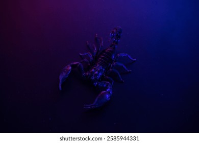 Scorpion Under Dramatic Neon Lighting