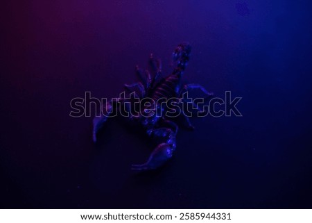 Scorpion Under Dramatic Neon Lighting