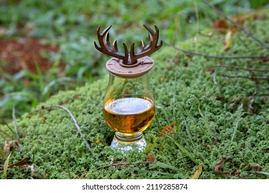  Scotch Whisky Isolated In Glen Cairn Glass With Peaty, Maritime Notes On Forest Moss In Selective Focus