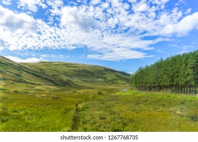 Scotish Countryside In Summer.