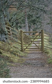 Scotland Access Code says: Use a gate where one has been provided and leave it as you find it. Do not climb over gates, fences, dykes or hedges unless there is no reasonable alternative nearby.