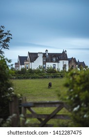 Scotland, Bishopton/UK - 05,23,2019: Hotel County Club Ingliston Horses