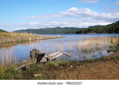 Scotland Glen Affric