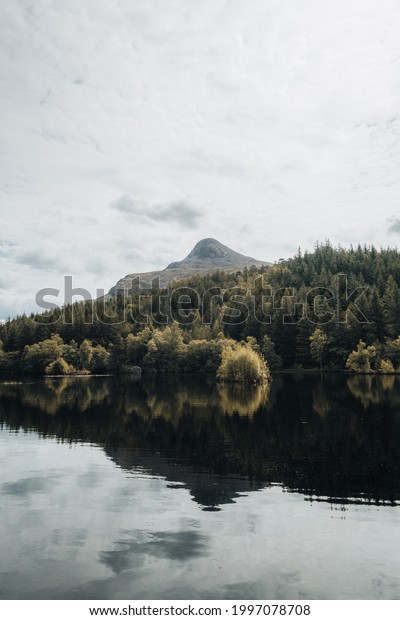 Scotland Glencoe Mountains Woods Trees Lake\
Lochan reflections\
flowers