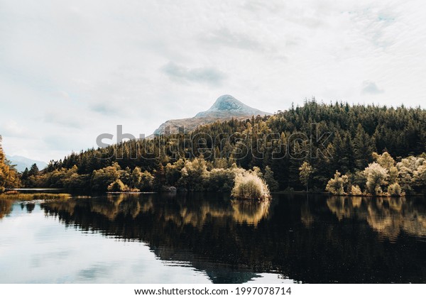 Scotland Glencoe Mountains Woods Trees Lake\
Lochan reflections\
flowers