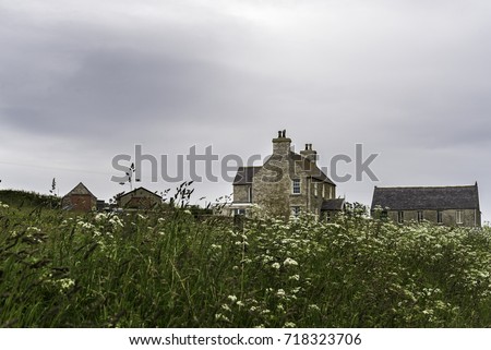 Foto Bild Verschlafenes Nest