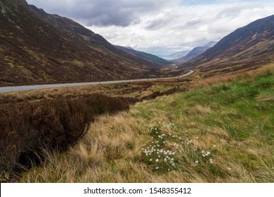 Scotland highlands road flowers crossing valey near lake