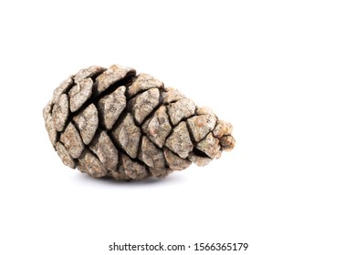 Scots Pine Cone On A White Background