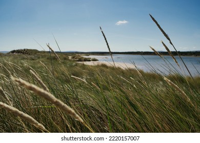 Scottish Coastline Nature Blue Sky