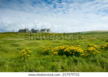 Similar – Foto Bild Verschlafenes Nest