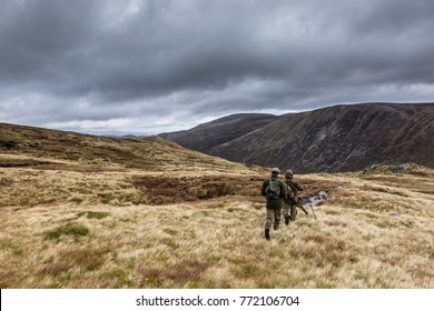 Scottish Highland Deer Stalking