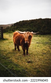 Scottish Highlands In Autumn Time