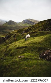 Scottish Highlands In Autumn Time