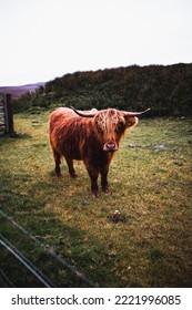 Scottish Highlands In Autumn Time