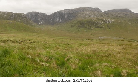 Scottish highlands on a misty morning - Powered by Shutterstock