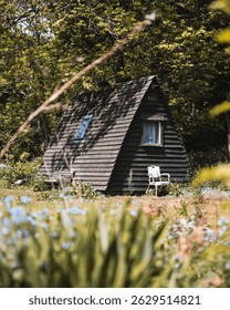 Scottish Log cabin in the woods