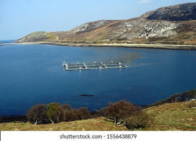 Scottish Salmon Farm In The Highlands Of Scotland