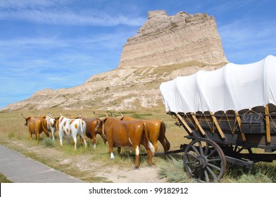 Scotts Bluff Peak, Covered Wagon And Oxen