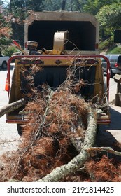 Scotts Valley, California, USA. ‎Monday, ‎August ‎15, ‎2022. Dead Trees Being Put Into A Wood Chipper.