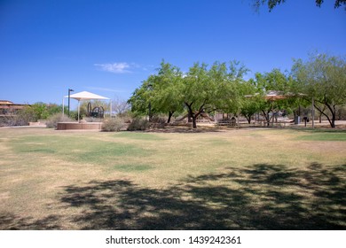 Scottsdale, Arizona / USA May 27, 2019: Florence Ely Nelson Desert Park