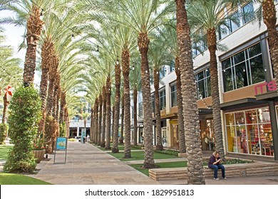 541 Scottsdale palm tree Images, Stock Photos & Vectors | Shutterstock