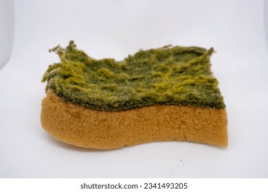 Scouring pads sponge for housework cleaning and scouring pad domestic sponge work tools.  - Powered by Shutterstock