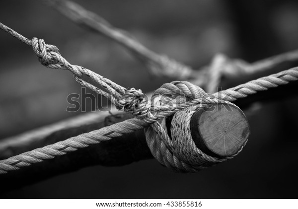 Scout knot , rope\
bridge