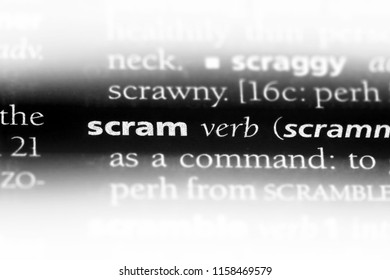 Scram Word In A Dictionary. Scram Concept.