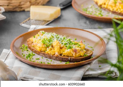 Scrambled eggs with cheese and herbs, on panini bread