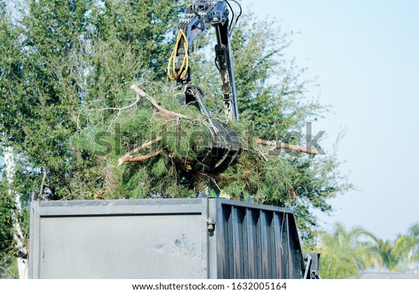 Scrap collection truck,\
tree cutting 