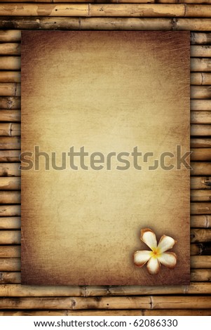 scratch vintage paper with flora on bamboo background