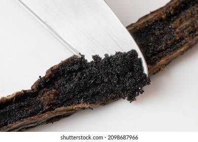  Scratching black vanilla seeds on the tip of a knife close up - Shutterstock ID 2098687966