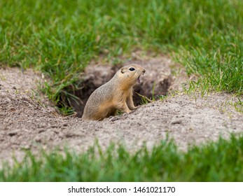 Screaming Hole