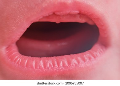 Der schreiende Mund eines Neugeborenen, Nahaufnahme. Makrofoto von einem weinenden offenen Mund eines Babys mit zahnlosem Zahnfleisch