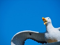 Screaming Seagull On Wood With Blue Sky As Background