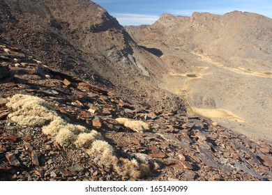 Scree On Slopes In Sierra Nevada National Park, Spain