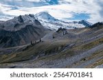 Scree slopes, lichens, moss and a few trees form the landscape on Mount Baker