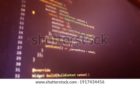 Screen of flutter application developing code. Lines of code on computer screen abstract