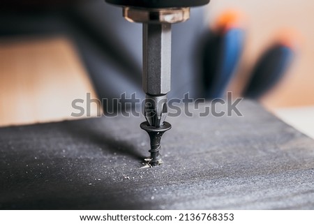 Screw screwed into timber wood on wooden top table background. Electric Screwdriver or drill screwing screw, nail or bolt into wooden planks. Repair furniture, carpenter working.