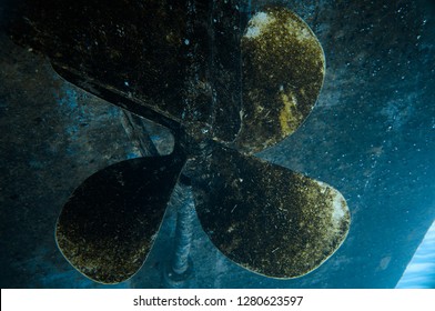 A screw ship under water