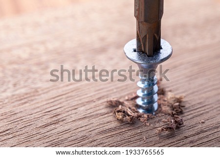 Screwdriver screw in a wood oaks plank. Self-tapping screw for PZ3 bit. Screws macro photo. Construction abstraction. Industrial background.