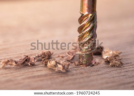 Screwdriver screw in a wood oaks plank. Self-tapping screw for Torx 25 bit. Screws macro photo. Construction abstraction. Industrial background.