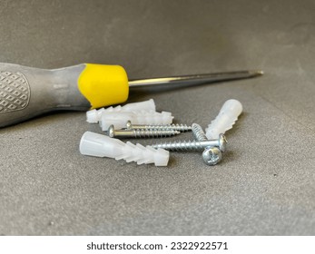 Screwdriver and screws. Crosshead screwdriver. Self-tapping screws and dowels